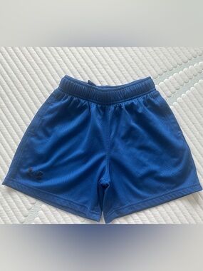 Under Armour Royal Blue Mesh Training Shorts